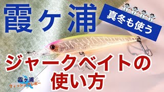 バスフィッシングレポート【郡司 潤】2023年2月9日 春  霞ヶ浦フィッシングレポート 晩冬のバス釣り ジャークベイトの使い方を郡司プロが解りやすく解説