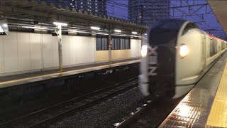 【なりたえくすぷれす】E259系 特急 成田エクスプレス@西大井駅（通過）