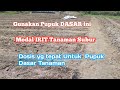 Pupuk Dasar yg bagus dan murah untuk tanaman cabe