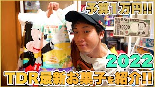 東京ディズニーリゾートの最新のお菓子のお土産を1万円分購入品紹介！