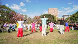 [4K] 愛禅道　おどるんや秋まつり 2018　二の丸会場