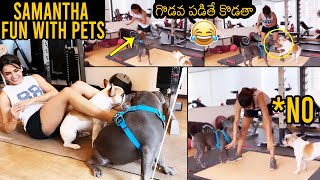 Samantha Funny Moments With Her Pets | Samantha Latest Video | News Buzz