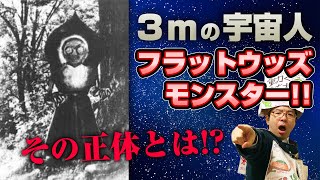 【３メートルの宇宙人】「フラットウッズ・モンスター」を徹底解説！！