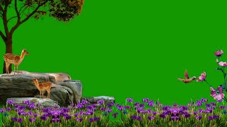 Jungle Green Screen / Nature Green Screen / Flower Green Screen / Background Video Effects hd