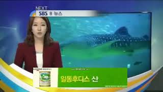 SBS 가상NEXT - SBS 8 뉴스(2012.3)