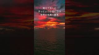 覚えておくと きっといつか役に立つ 世界の名言・格言  51 #名言 #格言 #金言 #心に残る言葉 #偉人の言葉 #人生 #座右の銘 #Shorts