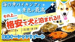 【犬と泊まれる千葉の宿】浜焼き海鮮バイキングすごすぎ！なのにお安いホテル、白浜オーシャンリゾート✨🤤【ドッグランあり大型犬OK！】