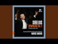 Symphony No. 2 in D Major, Op. 43: I. Allegretto (Live)