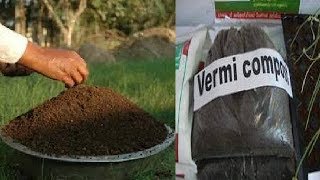 वर्मी कम्पोस्ट ( जैविक खाद ) बनाये आसानी से ( by Original Message Channel ) वर्मी कम्पोस्ट ( जैविक खाद ) बनाये आसानी से ( by Original Message Channel )