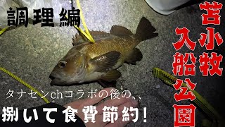 苫小牧入船公園で釣った魚を全部食う。タナセンチャンネルコラボ#田舎暮らし #自給自足 #釣り #食費節約 #ぶっ込み釣り #fishing