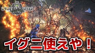 【MHW】エンシェントレーシェンにイグニ使えよ！【モンハンワールド】