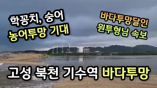 고성 북천 바다투망실황, 기수역 폭 좁아짐, 학꽁치투망, 투망달인 원투형님, 동해바다투망, cast net fishing, pesca, വല എറിയുന്നു, إلقاء شبكة