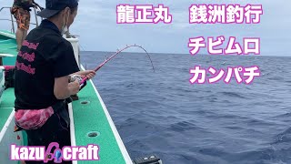 下田龍正丸　銭洲釣行　チビムロ　泳がせ　カンパチ