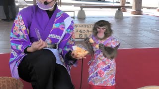 こころ🐵チャンは、メロン🍈と、闘ってる ❓🤣　二助企画