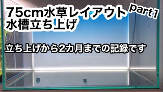 75cm水草レイアウト水槽を立ち上げました