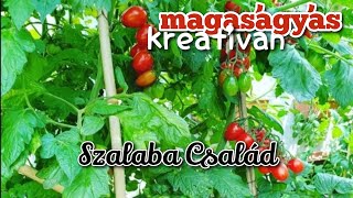 magaságyás kreatívan