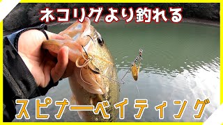 【Dαスピナーベイト】水温上がって釣れなくなったので、簡単な釣りをしてみました【プリスポーン】