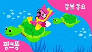 바닷속에는 | 동물동요 | 핑크퐁! 인기동요