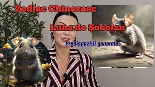 Luna de Șobolan sub element foc yang / Predispoziții generale ale lunii și ale zodiilor/