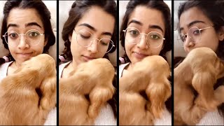 Actress Rashmika Mandanna Fun With Her Pet Dog || Rashmika Mandanna Cute Videos ||Silver Screen