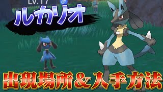 【ポケモンsv】『ルカリオ・リオル』の入手方法が判明！