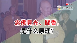 念佛见光、闻香，是什么原理？ 【大安法师开示】