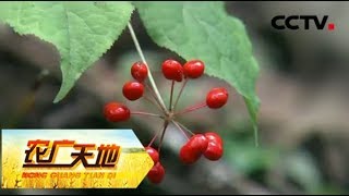 【All About Farming】20171219 | CCTV Agriculture