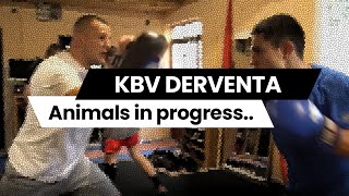 KBV Derventa || Animals in progress..