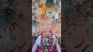 Shrinathji Seva Gopastami Special