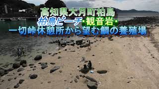 高知県大月町柏島、観音岩