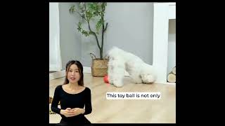 Tuk Tuk Pet Toy Ball square