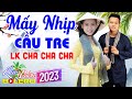 Mấy Nhịp Cầu Tre - LK Bolero Cha Cha Toàn Bài Hay, Phối Mới Cực Chuẩn, Nghe Thử Nghiện Luôn