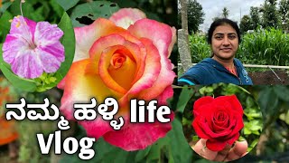 Namma halli life Vlog/ ನಮ್ಮ ಹಳ್ಳಿ ಜೀವನದ ವಿಲಾಗ್