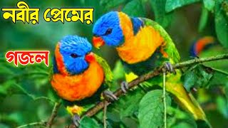 islamic video gazal, gazal, gojol, bangla song, bangla gazal, video gazal, kolorob GOJOL 2022