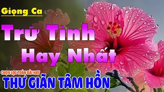 LK Nhạc BOLERO Trữ Tình Cực Êm Tai Dễ Ngủ | Nhạc Vàng Xưa Chọn Lọc Đặc Biệt Hay  2025