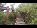 【4K】Silent Mangrove Bridge and Beach  | 4K ASMR Trip For Sleep And Relaxation