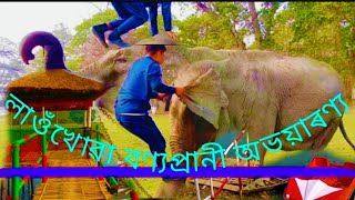 LAOKHOWA WILDLIFE SANCTUARY || nagaon Assam || KATAKHAL TOURISM ||