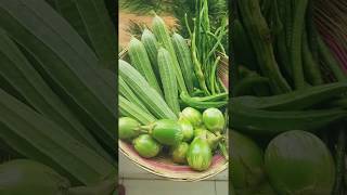 Organic Terrace Harvest Aug 2019