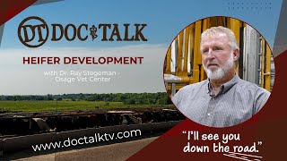 DocTalk Ep 462 - Heifer Development with Dr. Ray Stegeman