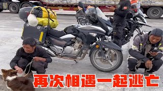 女骑士的环华摩旅变成大逃亡，再次偶遇队友，顶着沙尘暴跑出青海