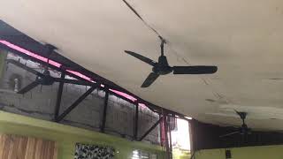 2 KDK and an a TAT Industrial Ceiling Fans