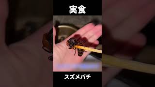 【超危険】オオスズメバチ捕まえて食べてみた #shorts