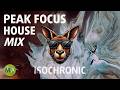 Peak Focus For Complex Tasks House Kangaroo Mix with Isochronic Tones