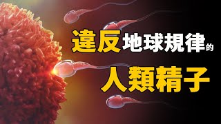 精子運動違反牛頓第三定律？人類真的不是地球原住民？在外太空誕生的生命，居然會有這些神奇變化……| 腦補大轟炸