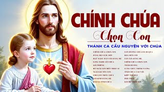 CHÍNH CHÚA CHỌN CON - Nhạc Thánh Ca Cầu Nguyện Với Chúa - Thánh Ca Công Giáo Xoa Dịu Tâm Hồn