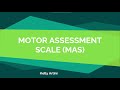 Motor Assessment Scale