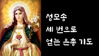 성모송 세 번으로 얻는 은총 아침(저녁)기도