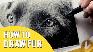 How To Draw Fur Tutorial |  4 Fur Drawing Tips With Drawing A Dog