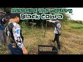 Releasing the mystery black cobra | tropang tuklaw