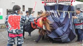 土橋町会所を出発！供奉行列 出発地点へ　石岡のおまつり2016　還幸祭　00014